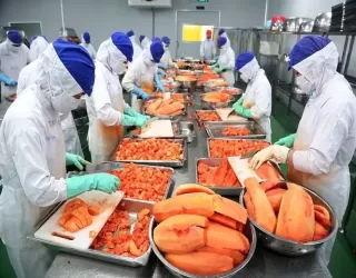 Hệ thống xử lý nước thải nhà máy thực phẩm