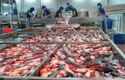 GIẢI PHÁP MBR + AAO KẾT HỢP TRONG XỬ LÝ NƯỚC THẢI NHÀ MÁY CHẾ BIẾN THỰC PHẨM